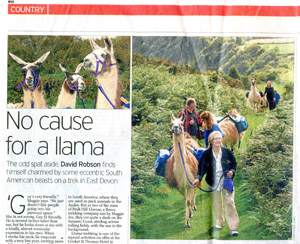 Telegraph article